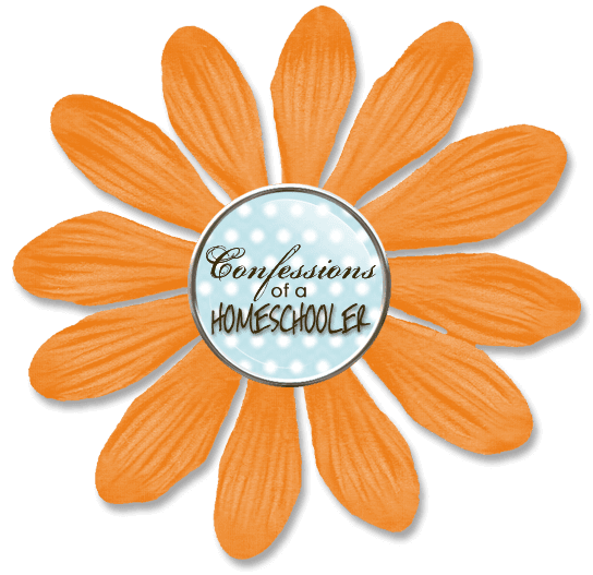 Confessions of a Homeschooler