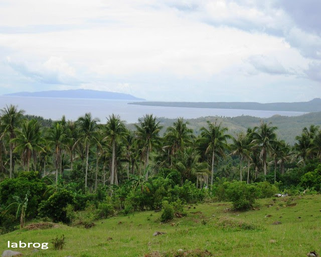 view from Estanza Cut