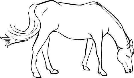 free horse coloring pages from mustangs to lipizzaners