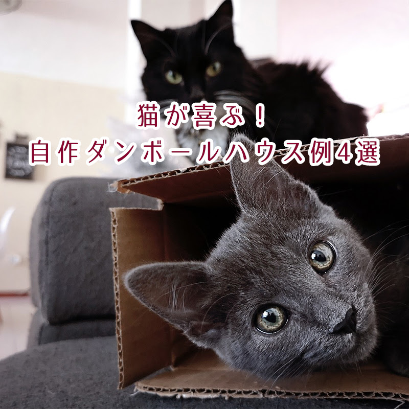 猫が喜ぶ 自作ダンボールハウス例4選 簡単な作り方は