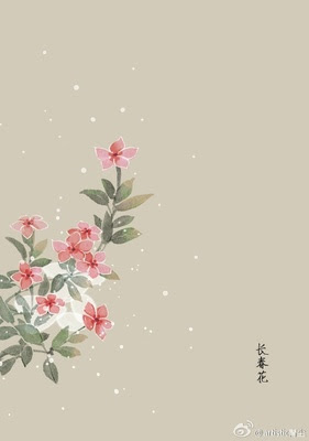 2月24日是什么生日花 2月23日是什么生日花