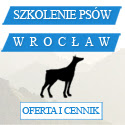 szkolenie psów szkoła doberman wrocław