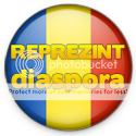 Reprezint Diaspora in recensamantul Bloggerilor