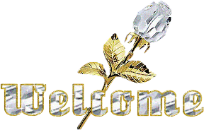 welcome-desi-glitters-12
