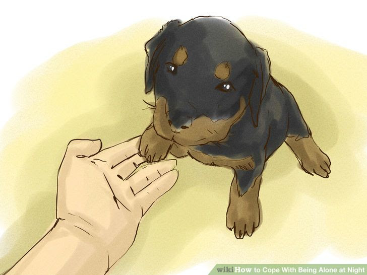 Train Your Rottweiler Puppy With Simple Commands Step 2.jpg