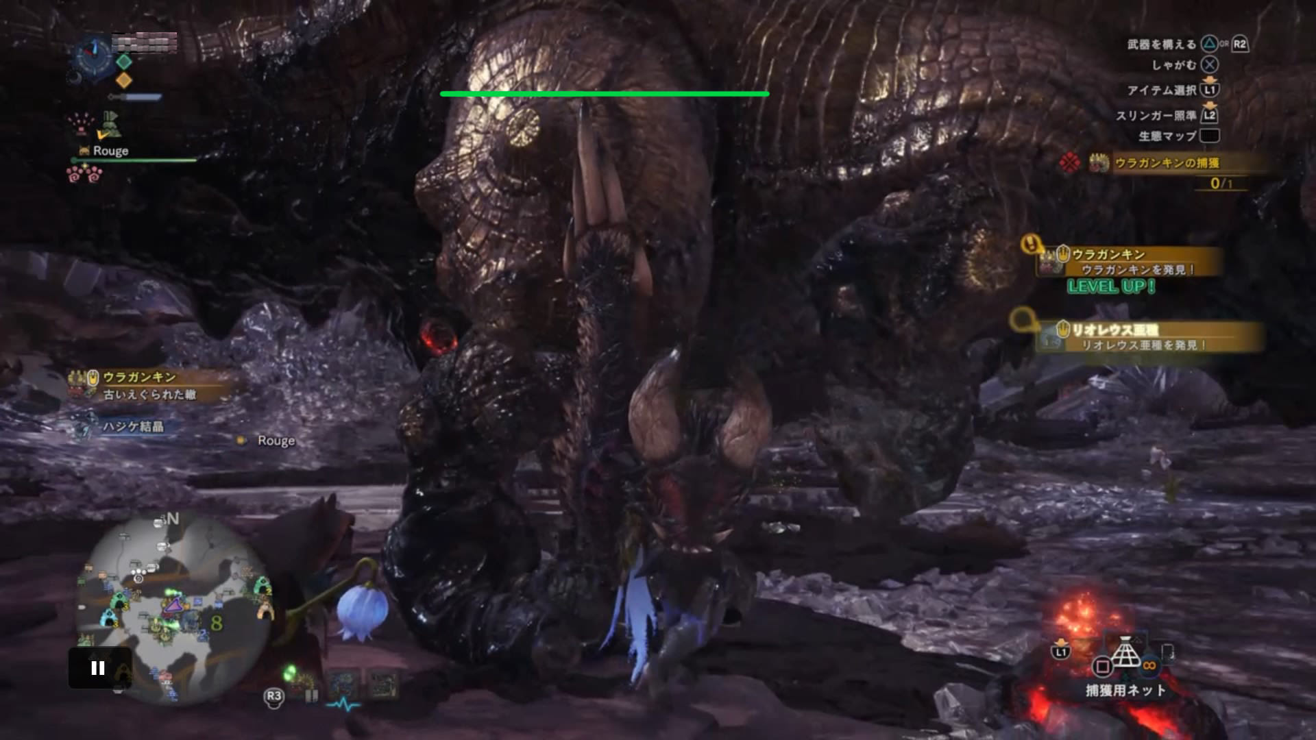 Mhw ウラガンキン ラドバルキンの金冠の判断方法は モンハンワールド モンハンライズ攻略まとめ