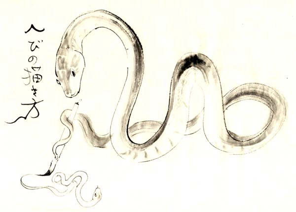 蛇の描き方