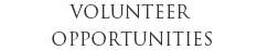  photo volunteer.png
