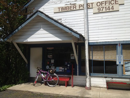 Sunny and warm in Timber