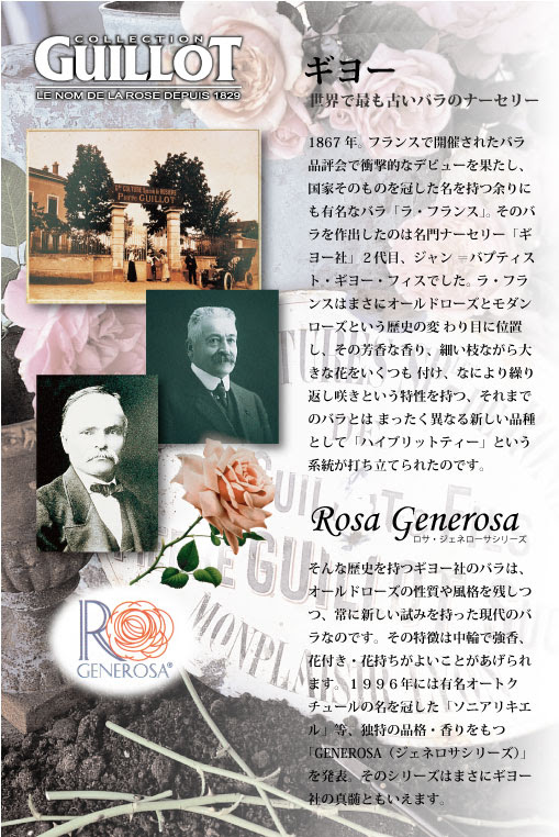 商品紹介 ギヨー Guillot 大森プランツ