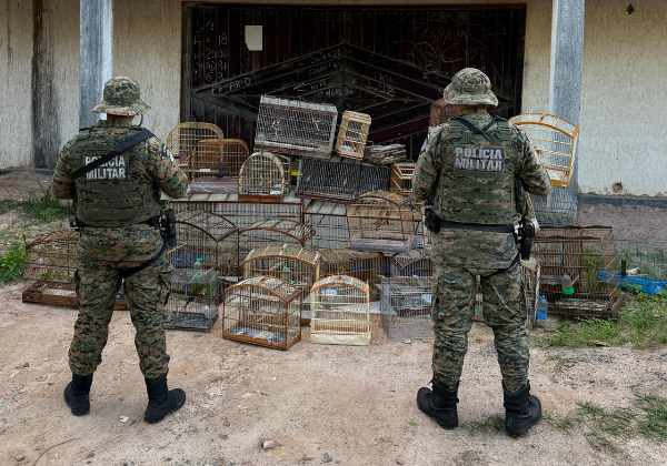 PM resgata 39 aves silvestres em Itapuã; dois suspeitos são presos