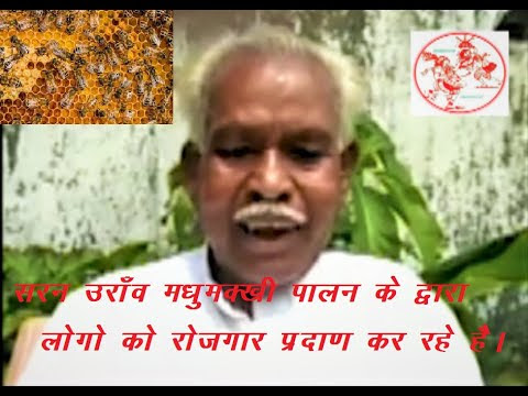चित्र