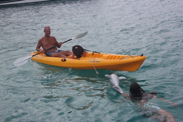 The shark was put into action again….this time intent on tipping the captain out of Mango Tango….