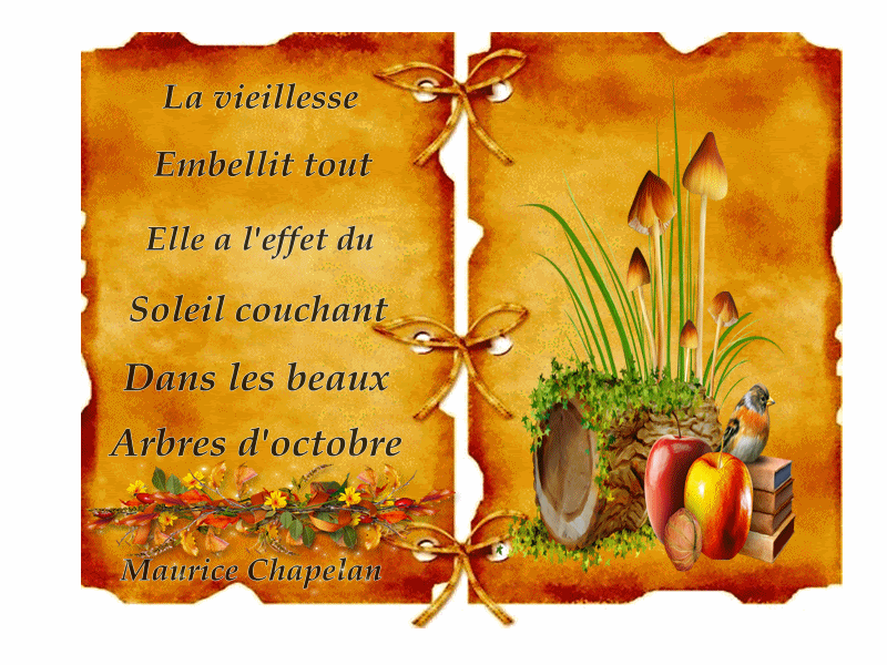 Une Jolie Citation Sur La Vieillesse J Aime Beaucoup
