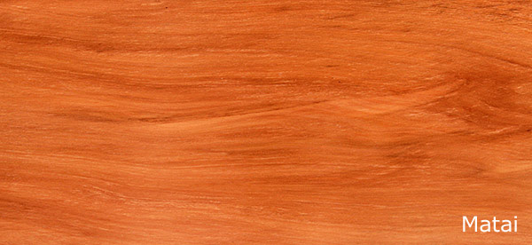 the timber arts forest - timber arts new zealand