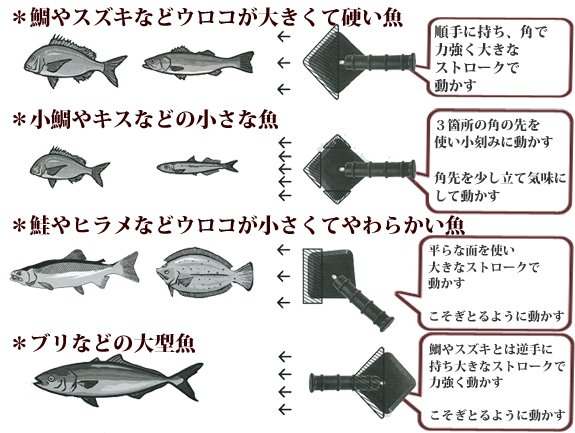 鱗が飛び散らないうろこ取り 鱗トル シリーズ