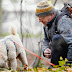 Italienischer Wasserhund / Lagotto Romagnolo Zucht Lagottozucht Hamburg : Browse the user profile and get inspired.