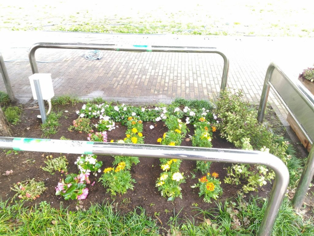 7月15日 月 花植え センター北 中川中央町内会