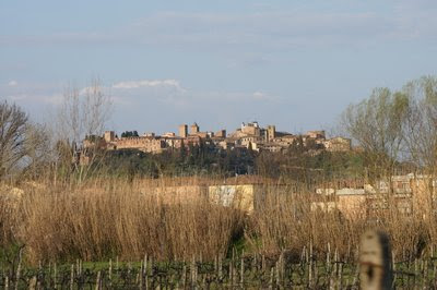 dsc09113.jpg