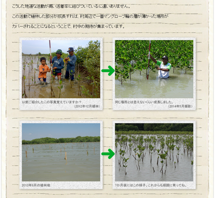 地球環境保護 節約の近道はダンロップのエナセーブ しかもマングローブ植林の環境保護活動で地球を守れる 未来を変えるお買いものメディア バイコット