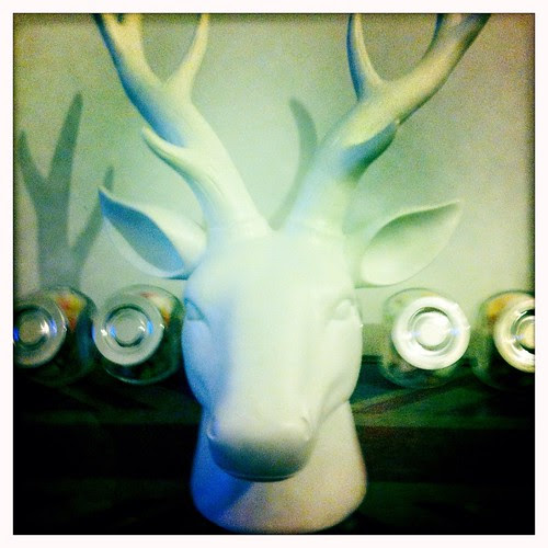 White Stag