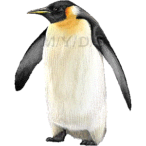 皇帝ペンギン こうていぺんぎん のイラスト 条件付フリー素材集
