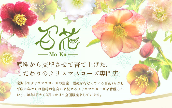 百花 Moka チャグまるしぇ滝沢 販売者紹介