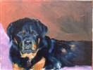 ANNE MCNALLY 'GUS' 11 x 14 oil on linen