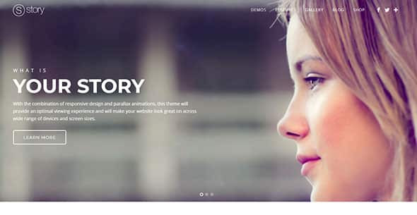 story WordPress Theme photo