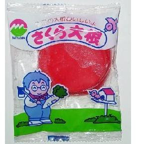 漬物ですが あおい玩具 公式ブログ