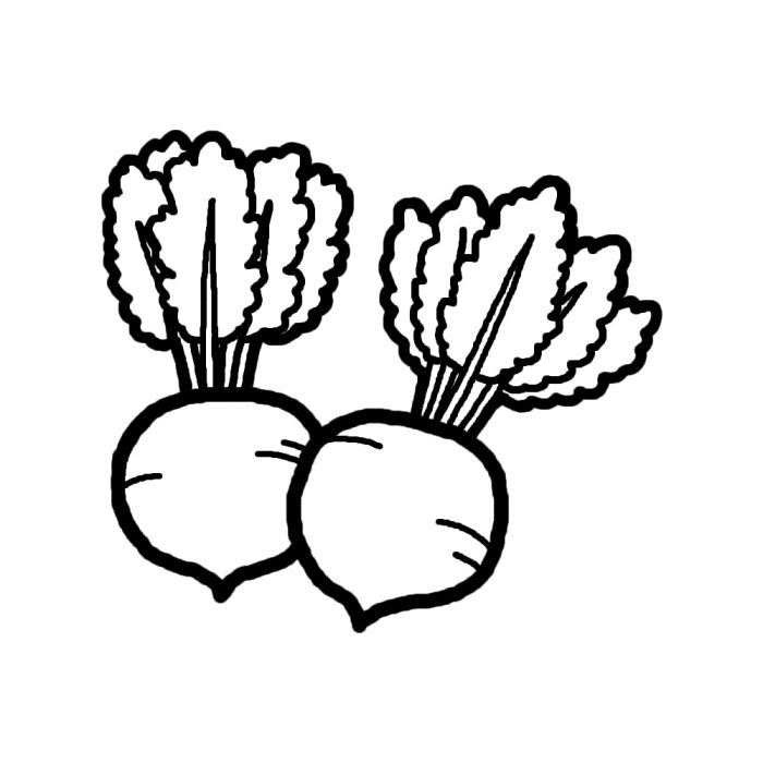 かぶ 白黒 野菜 食べ物 無料イラスト素材
