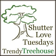 ShutterLoveTuesdays