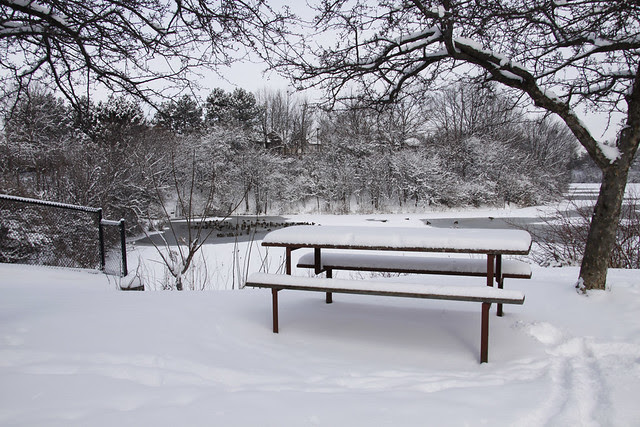 bench pond2