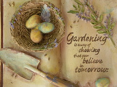 DSCN0448_1