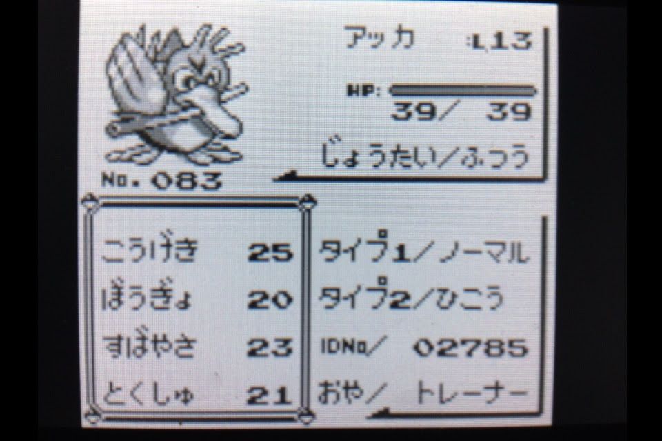 ポケットモンスターを遊びつくす日記 第5話 うさぎの隠れ家