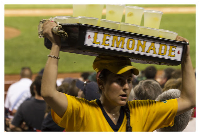 Fenway Park 17