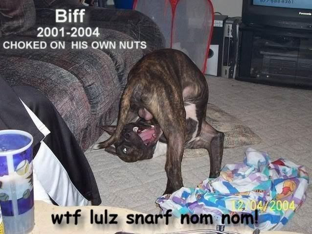 snarf
