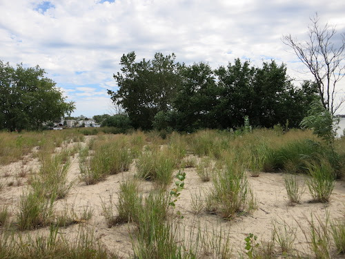 soundview park bronx river nyc