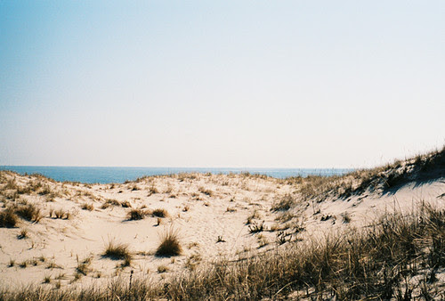 island of blue dolphins. +of+the+lue+dolphins