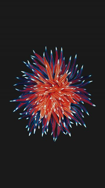 iphone se wallpapers iphone ipad ipod forums  imorecom