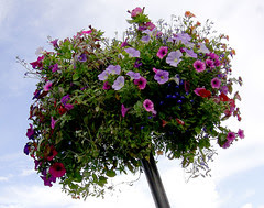 bridgeflowers.jpg
