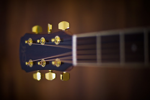 Maestro sd-3