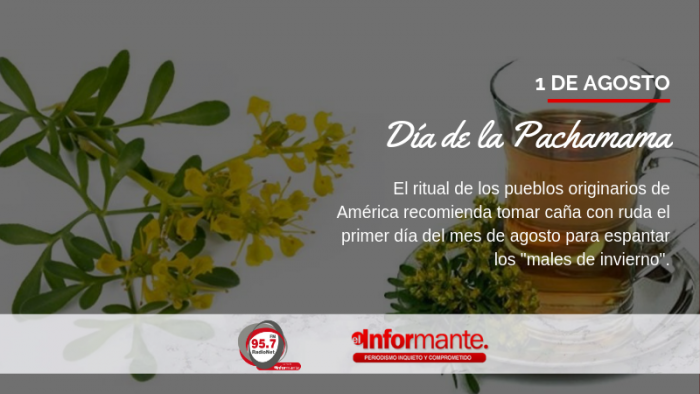 El Informante Cana Con Ruda En El Dia De La Pachamama