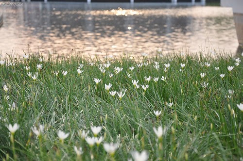 friendship_park_05