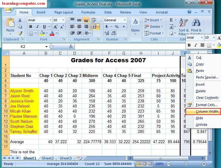 Microsoft Excel 2007 Tutorial – Home Tab | Softknowledge's ...
