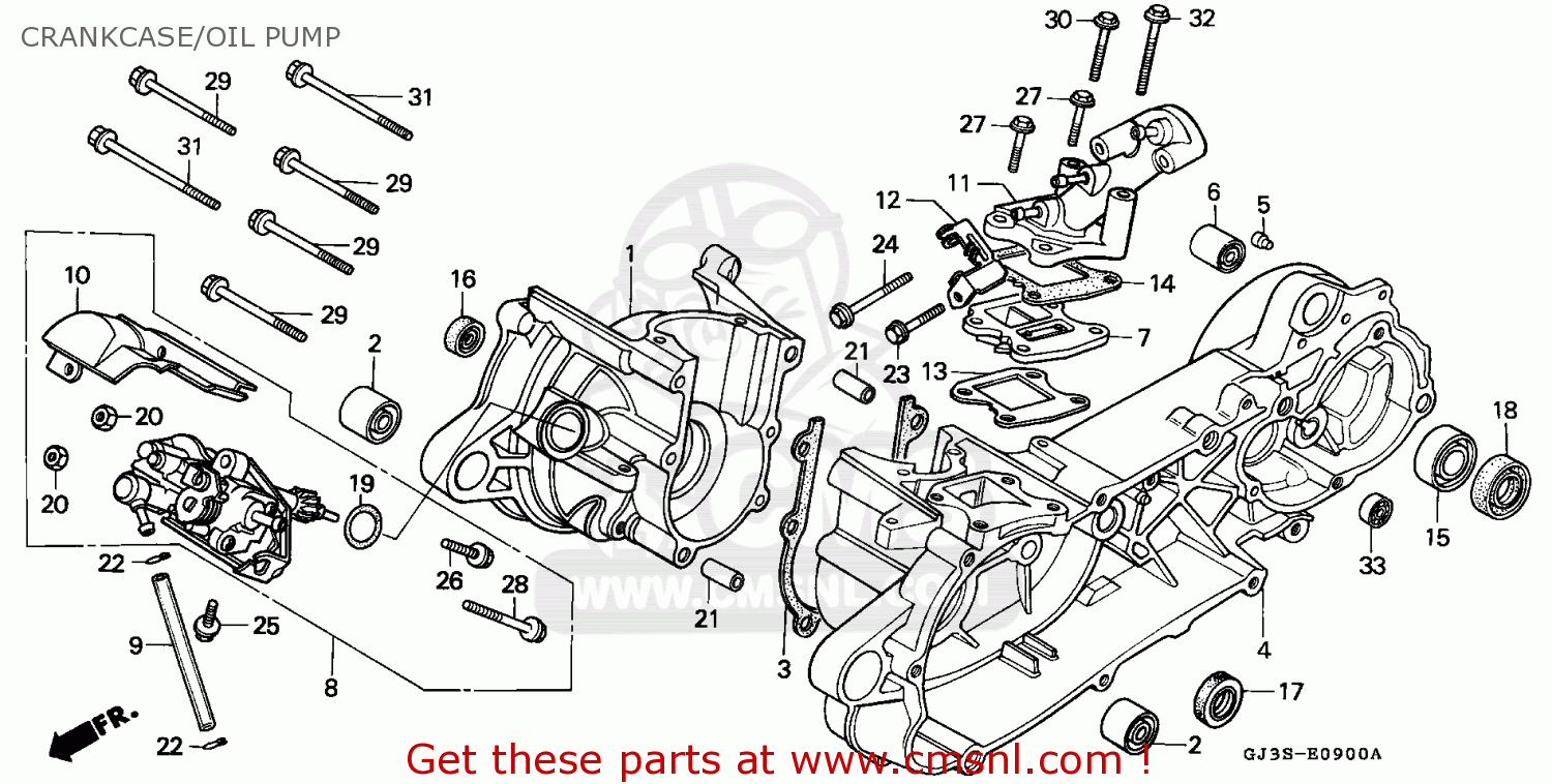 Honda Scoopy Engine Diagram Honda Metropolitan Wiring ...