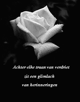 Teksten over familie