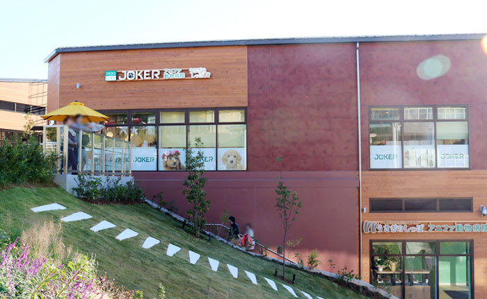 ペットショップジョーカー南町田グランベリーパーク店