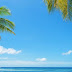 Klm Sign In Online : Compare and book all klm flights, view great last minute offers, choose your favourite seat, check in online, book hotels and all you need for your trip.
