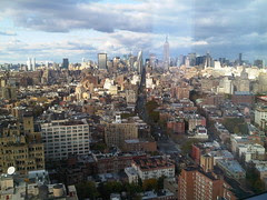 IMG00433-20101029-1623
